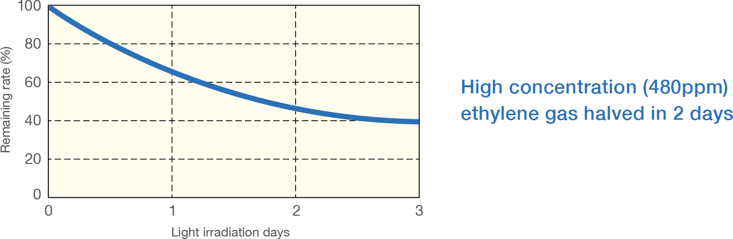 High concentration (480ppm) ethylene gas halved in 2 days