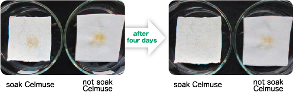 Decolorization performance by LED irradiation